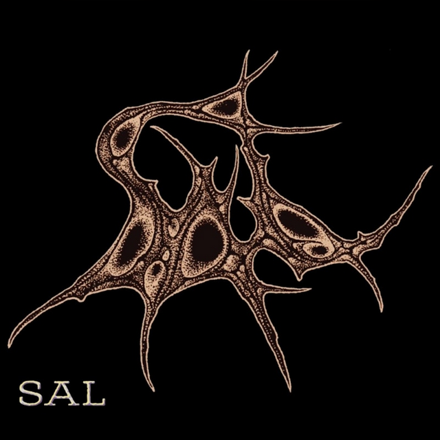 Chronique du nouvel EP du groupe SAL featuring Barney Greenway, l’essence du metal expérimental.